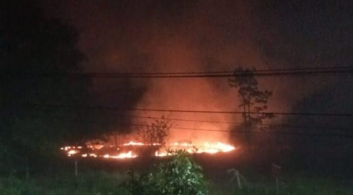 Denuncian incendio intencional del humedal del Arroyo Morón