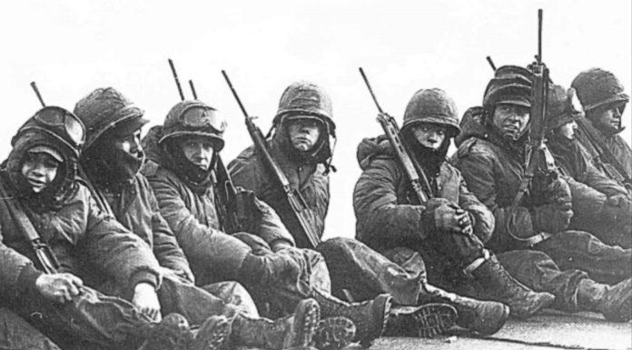 Malvinas. 40 años. Tras su manto de neblinas