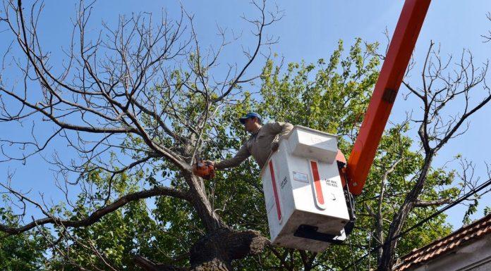 El Municipio de Hurlingham presentó el nuevo programa de poda
