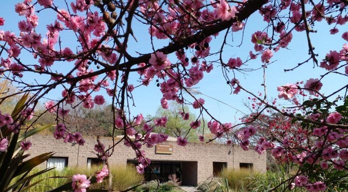 75 años del Jardín Botánico del INTA en Hurlingham en defensa de la educación y la promoción ambiental