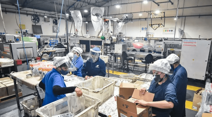 Participación ciudadana en el trámite de aptitud ambiental de la empresa Kasema