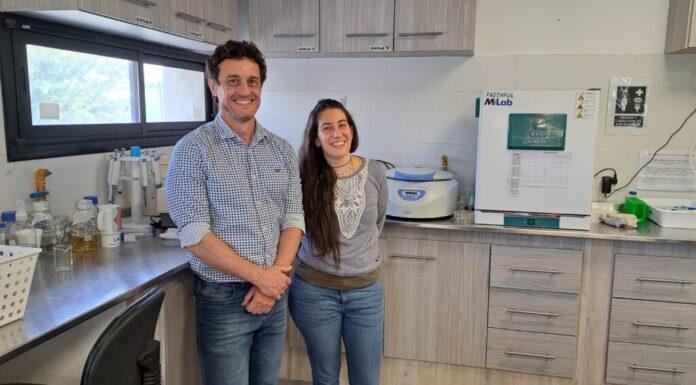 El cannabis y sus usos para combatir desde las infecciones intrahospitalarias hasta para la conservación de alimentos y cosmética