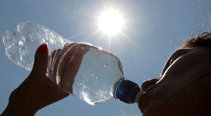 Golpe de calor: consejos del Colegio de Nutricionistas para disfrutar del verano sin riesgos