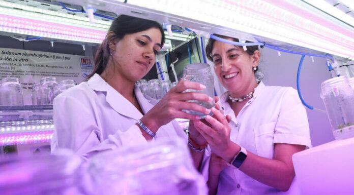 Del 7 al 12 de abril, Semana Nacional de la Ciencia en UNAHUR