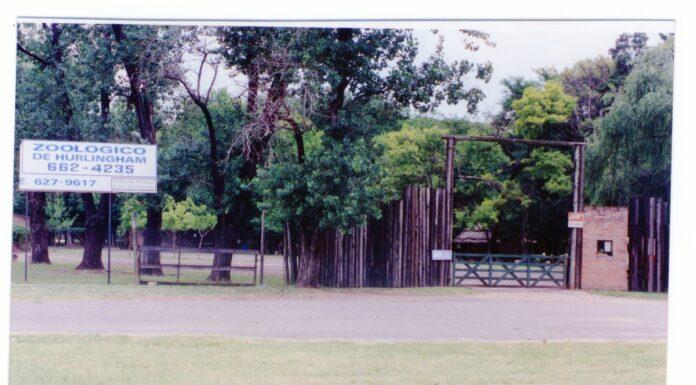 Día del Animal y el zoológico de Hurlingham en el recuerdo