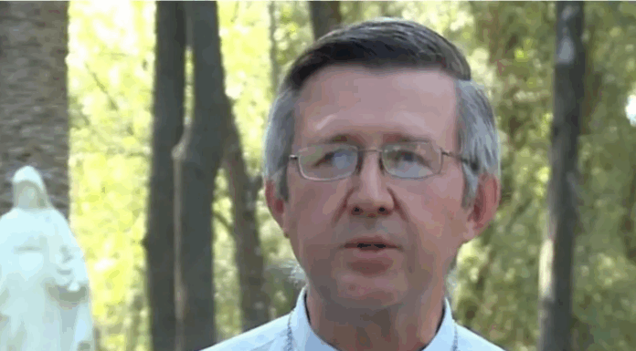 Un ambientalista es el nuevo obispo de Morón, Ituzaingó y Hurlingham