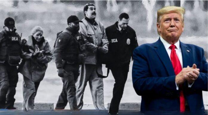 Buscando un símbolo de paz