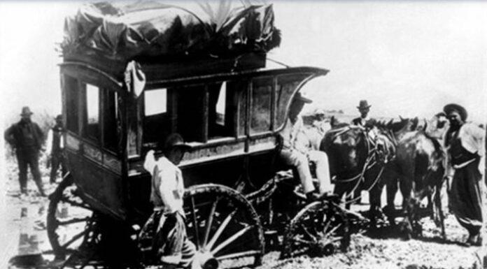 El camino del oro en Paso Morales