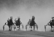 El Hipódromo de Trote, aunque en 3 de Febrero siempre de Hurlingham