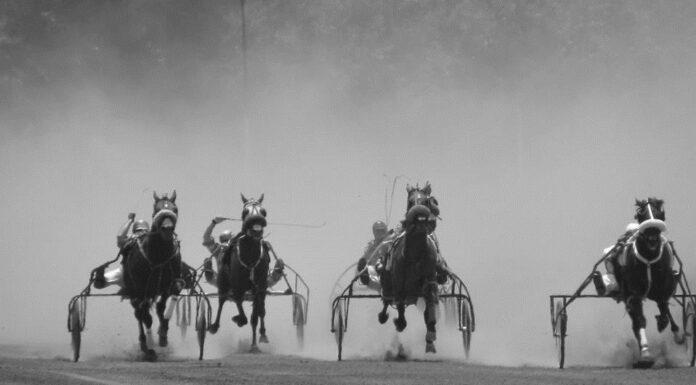 El Hipódromo de Trote, aunque en 3 de Febrero siempre de Hurlingham