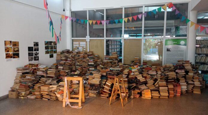 ¿Dónde están los libros?