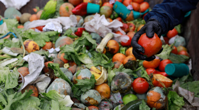 El Colegio de Nutricionistas alerta sobre la pérdida y desperdicio de alimentos: