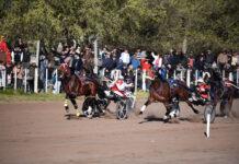 Buscan fortalecer por ley la actividad del trote