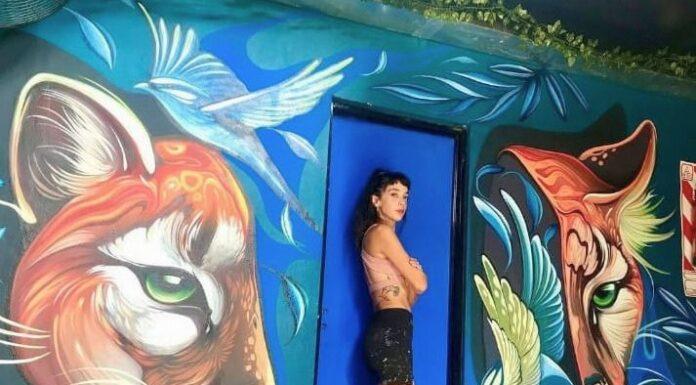 Fio Silva: la artista de Villa Tesei que le da color al mundo
