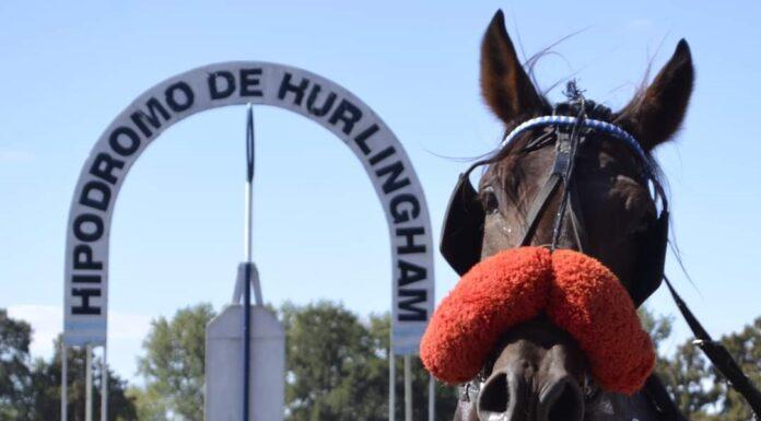 La Provincia incorporó las carreras de trote al régimen hípico y oficializó el hipódromo de Hurlingham